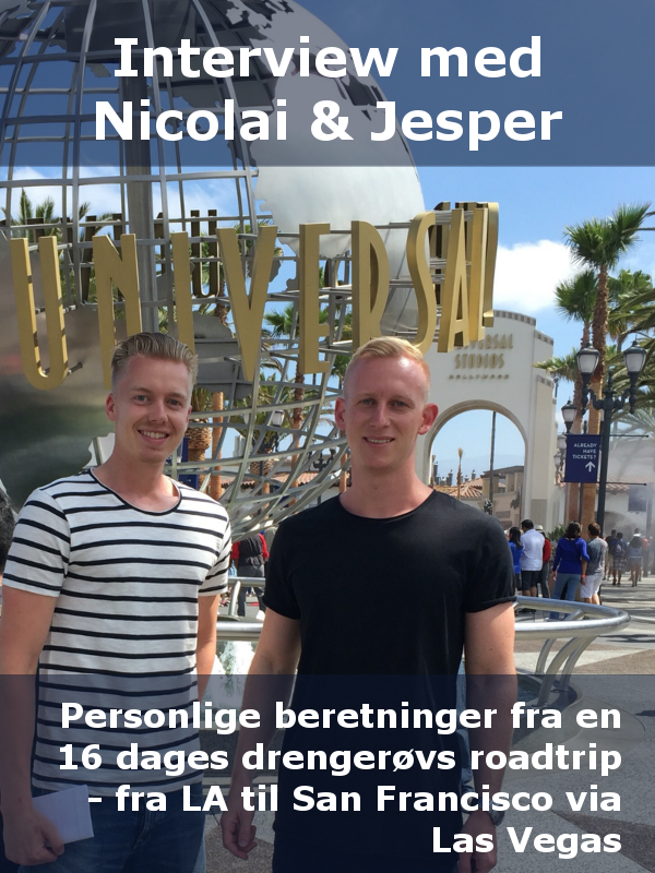 Interview med nicolai og jesper