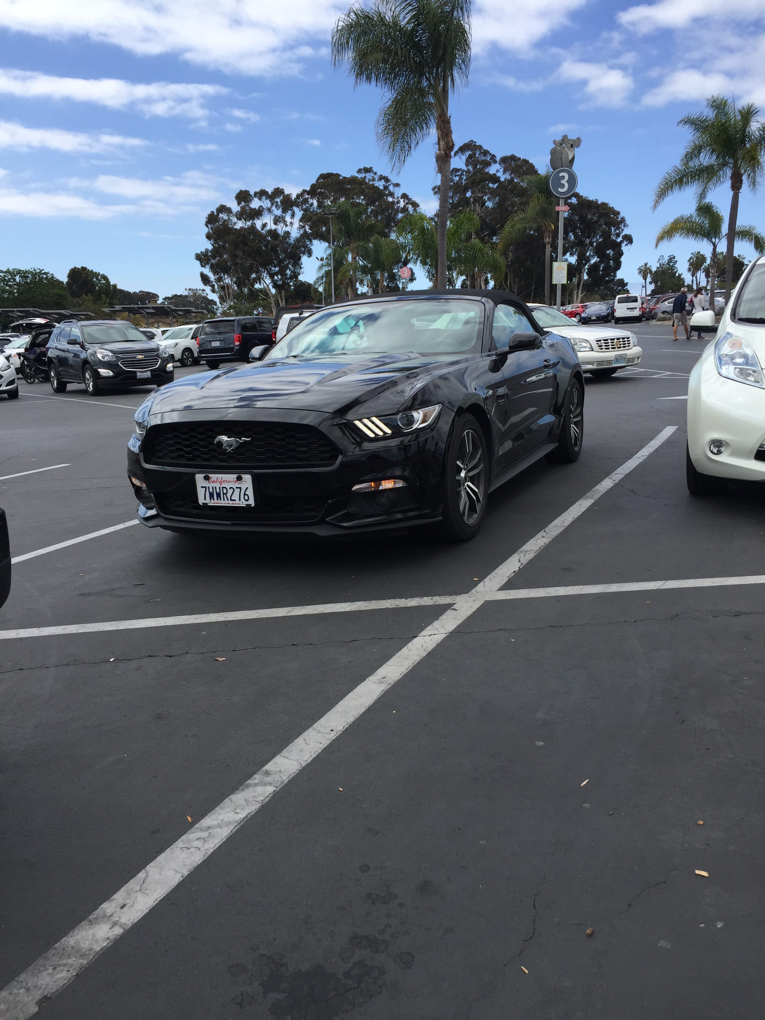 Ford Mustang lejebil